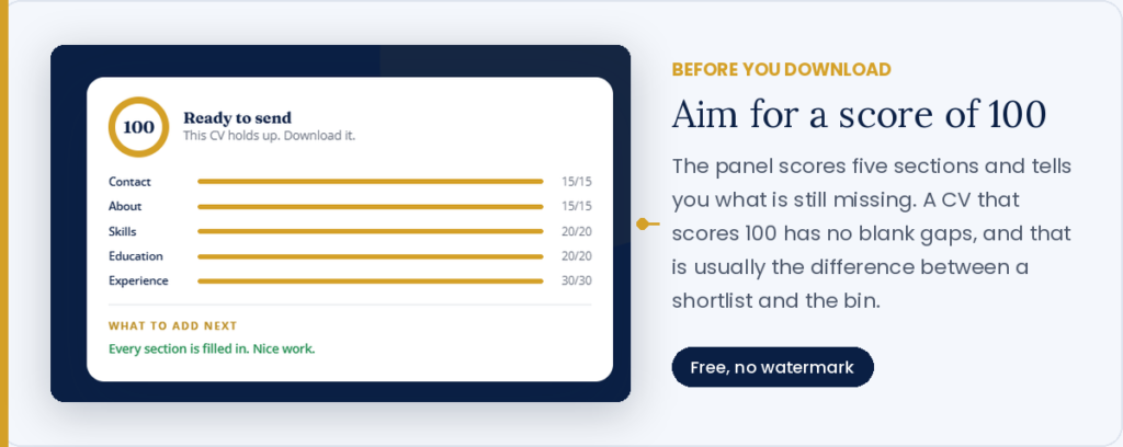 CV completeness score showing 100 out of 100