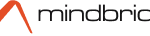 Mindbridge